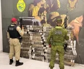 BPFRON e PRE apreendem mais de 1 tonelada de maconha