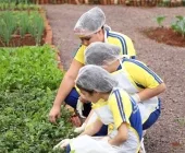 Projeto MasterChef na Escola leva experiências práticas duas escolas em Guaíra