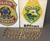 Casal é preso na Ponte Ayrton Senna com medicamentos, anabolizantes e eletrônicos