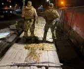 Bitrem com 4,4 toneladas de drogas é apreendido na BR-272 em Terra Roxa