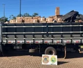 Caminhão carregado com cigarros é apreendido no interior de Mercedes