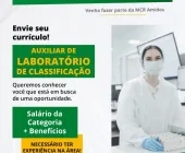 MCR Amidos abre vaga para auxiliar de laboratório de classificação com diversos benefícios