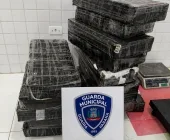 Guarda Municipal apreende 163 quilos de maconha após perseguição em Guaíra