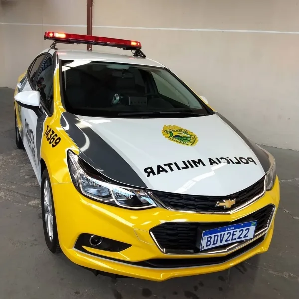 Cachorro é encontrado morto após possível disparo de arma em Marechal Rondon