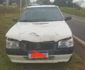 Carro atropela cavalo solto na PR-364, em Terra Roxa