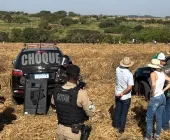 Grupo indígena ocupa parte de fazenda e mobiliza Polícia em Terra Roxa