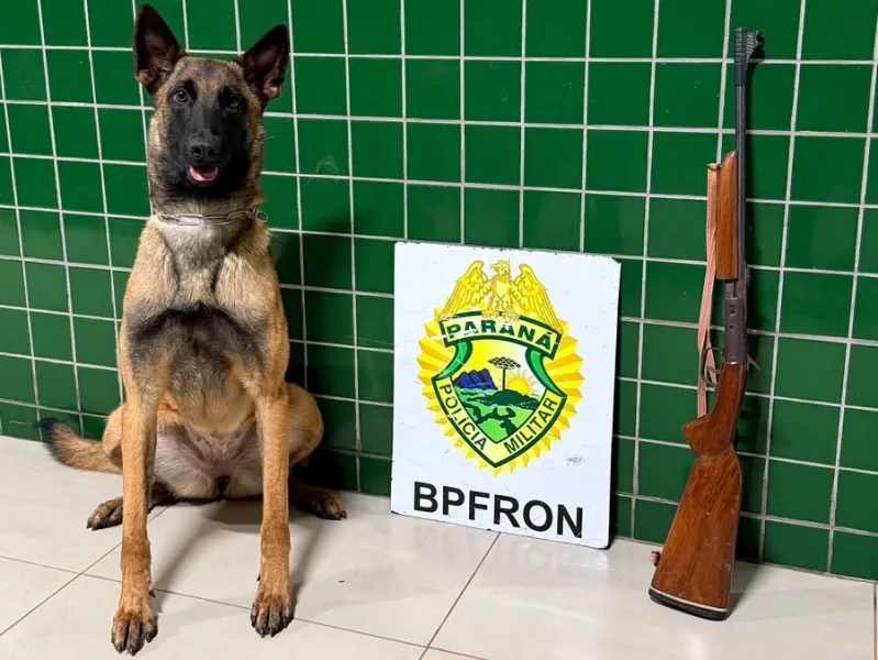 BPFRON apreende espingarda durante fiscalização de ônibus em Guaíra