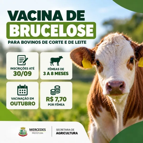 Mercedes abre inscrições para vacinação contra brucelose e pecuaristas contam com incentivo financeiro