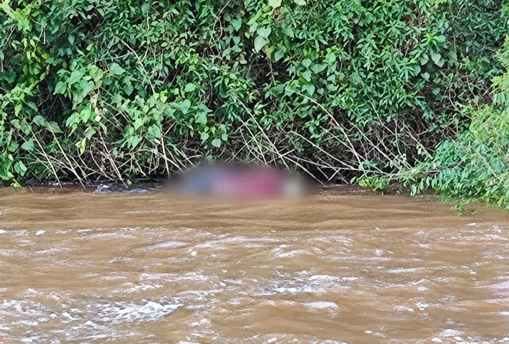 Corpo é encontrado às margens do Rio Piquiri em Palotina