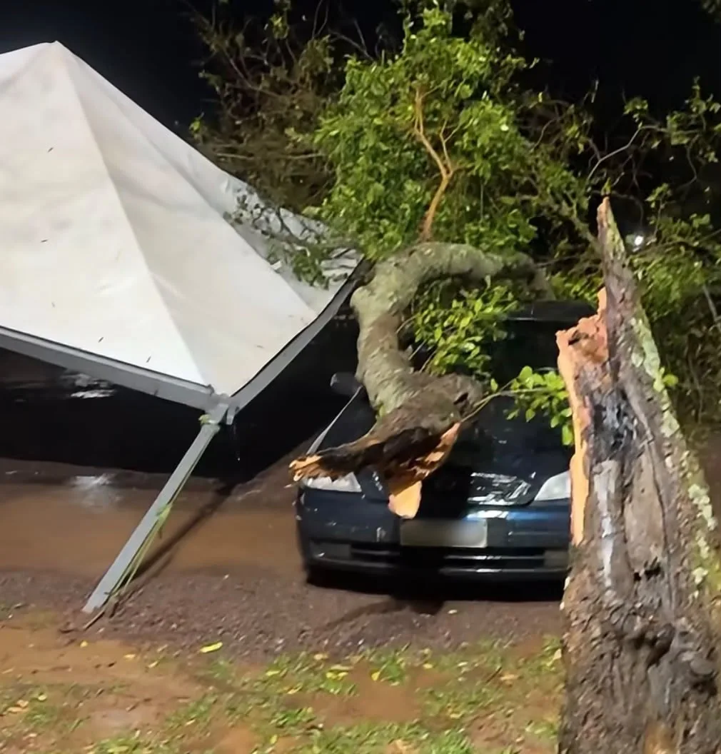 Temporais derrubam árvores em Mercedes e Guaíra
