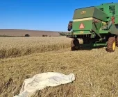 Agricultor brasileiro morre em acidente com colheitadeira conduzida pelo filho no Paraguai