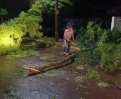 Chuva intensa, ventos e granizo causam estragos em Marechal Cândido Rondon