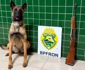 BPFRON apreende espingarda durante fiscalização de ônibus em Guaíra
