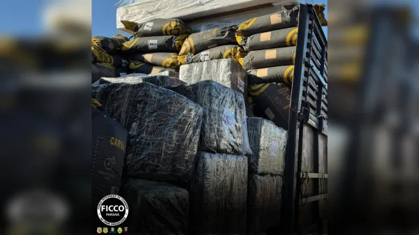 Polícia apreende 1,5 tonelada de maconha e prende motorista na BR-277 no Paraná