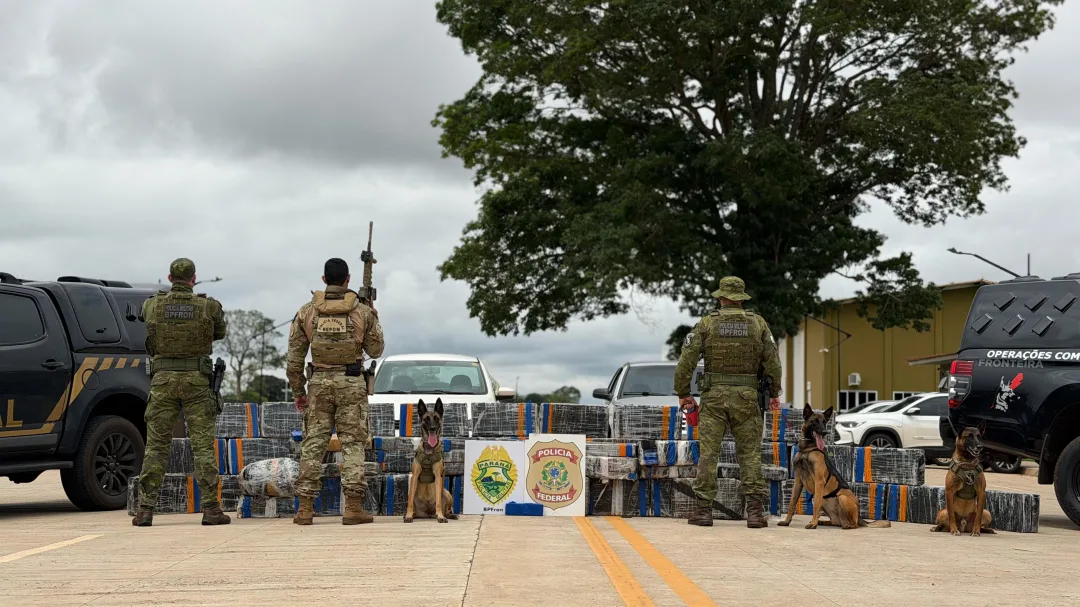 PF e BPFRON descobrem depósito e apreendem mais de meia tonelada de maconha em Nova Santa Rosa