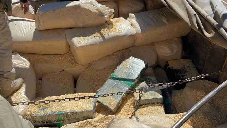 Caminhão com carga de maravalha escondia fardos de maconha em Santa Tereza do Oeste