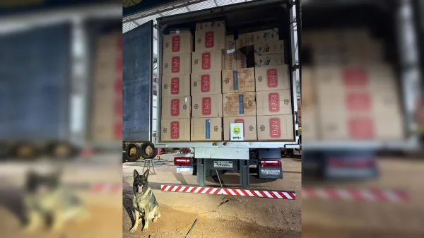 Polícia apreende caminhão com 40 mil pacotes de cigarros em Assis Chateaubriand