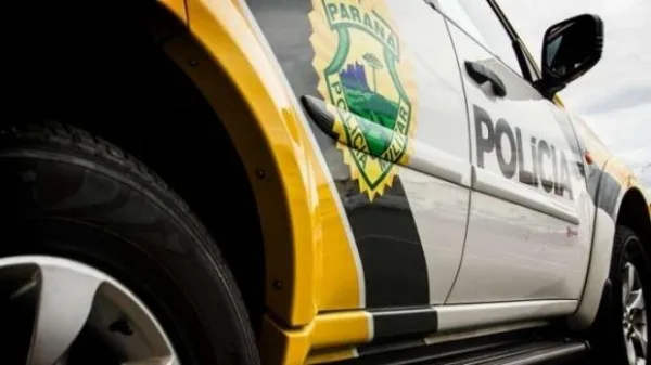 Três suínos são abatidos e furtados de propriedade rural em Guaíra