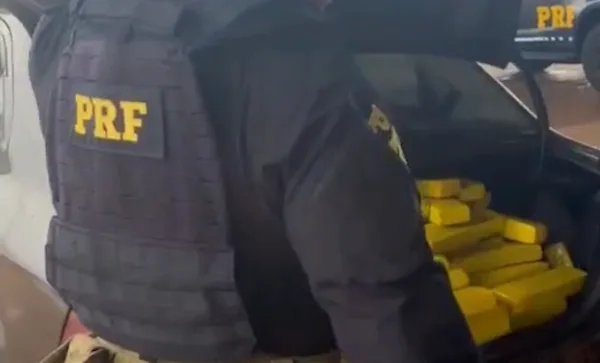 PRF e Denarc apreendem 550 kg de maconha após perseguição na BR-277 em Cascavel